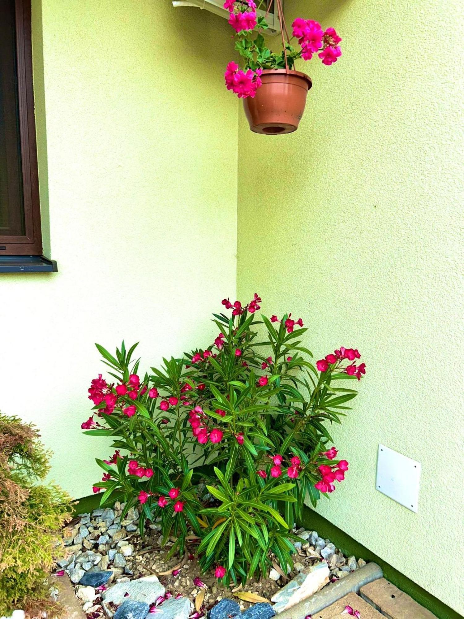 Apartmany Zeleny Dom Podhajska Exterior photo